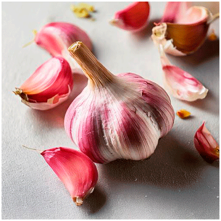 Garlic Natural ORGANIC flavour Oilsoluble